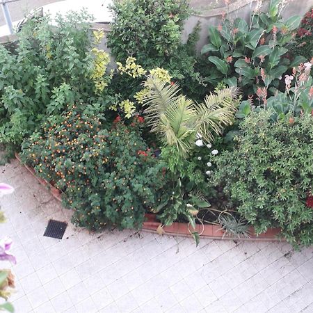 Bed And Breakfast Le Petunie Bari Sardo Bagian luar foto