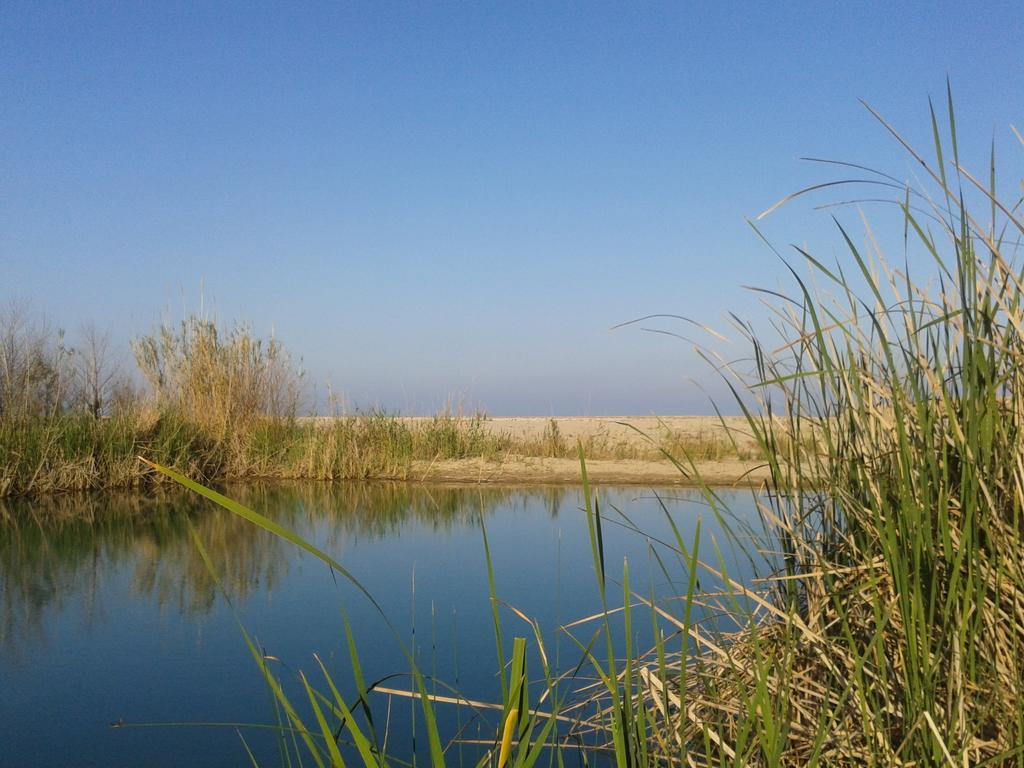 Bed And Breakfast Le Petunie Bari Sardo Bagian luar foto
