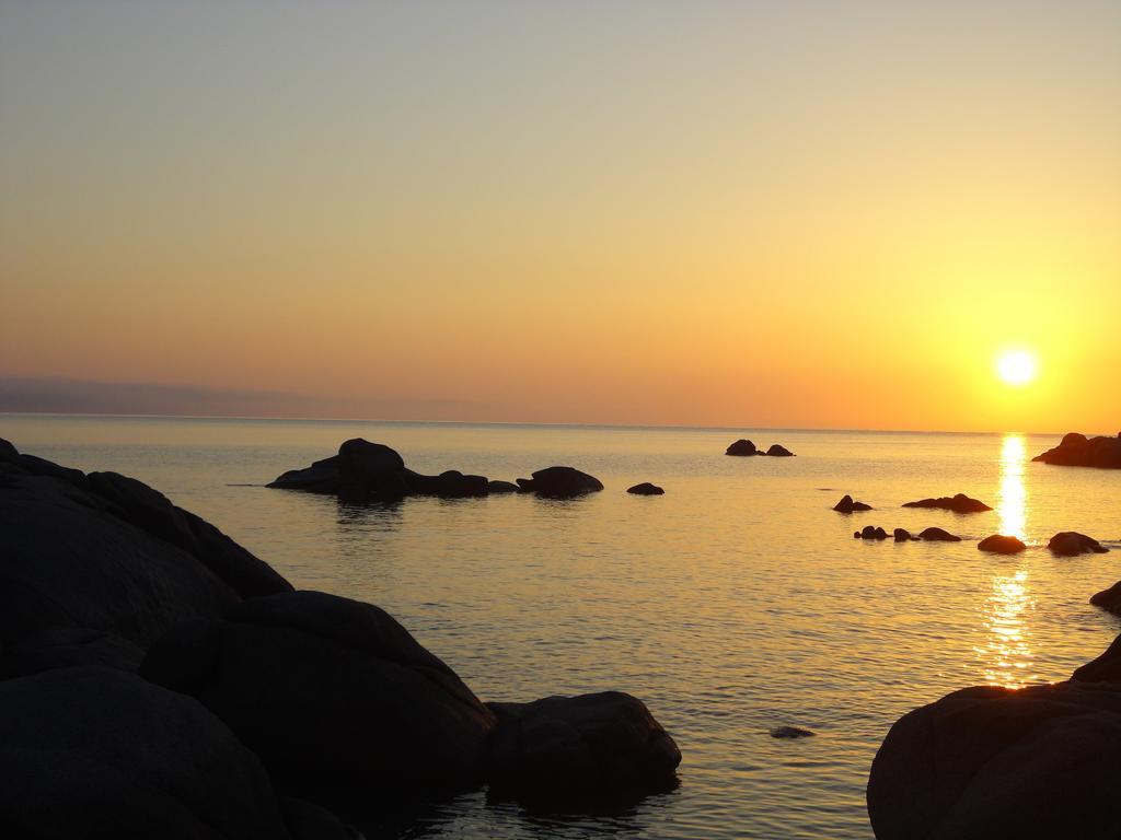 Bed And Breakfast Le Petunie Bari Sardo Bagian luar foto
