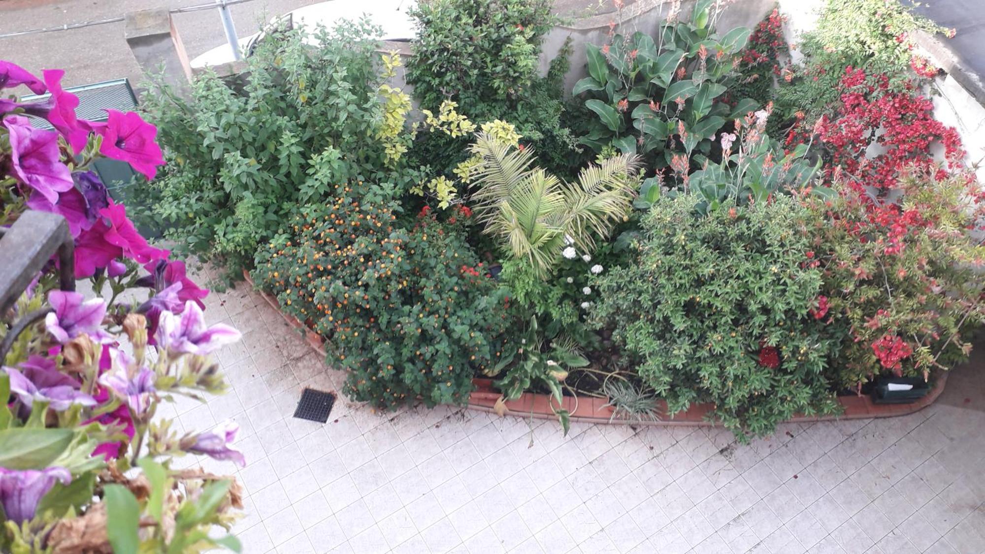 Bed And Breakfast Le Petunie Bari Sardo Bagian luar foto